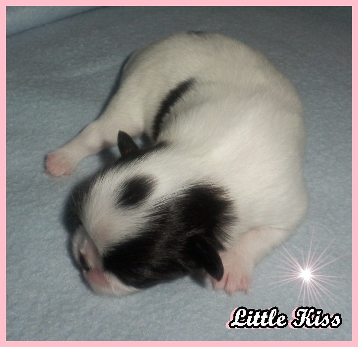 Little Kiss 005