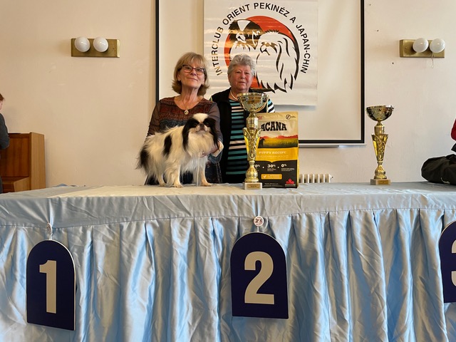 Charlotte nejlepší fena výstavy