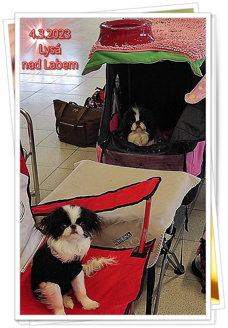 002 Lysá 2023