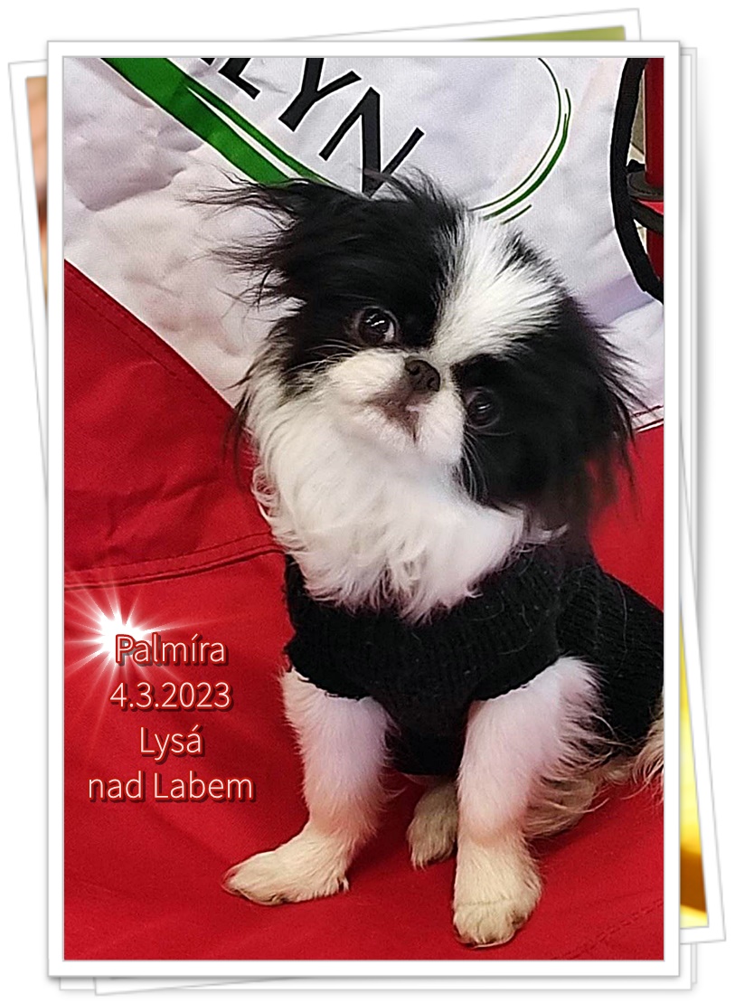003 Lysá 2023