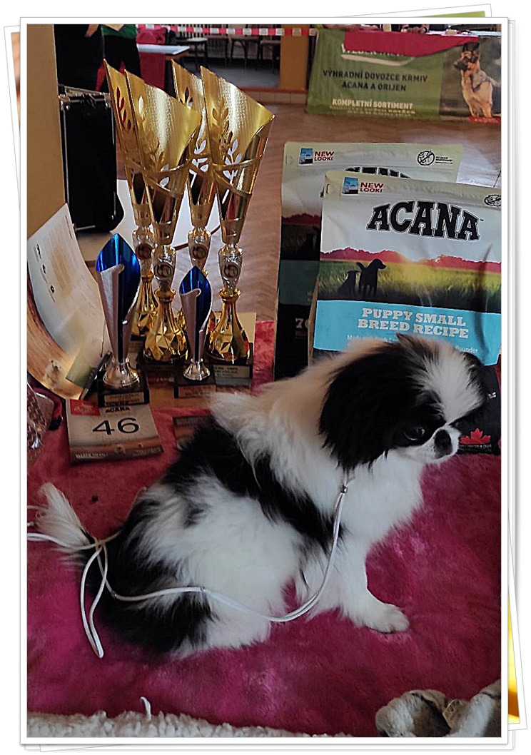 Vivi nej štěně..x