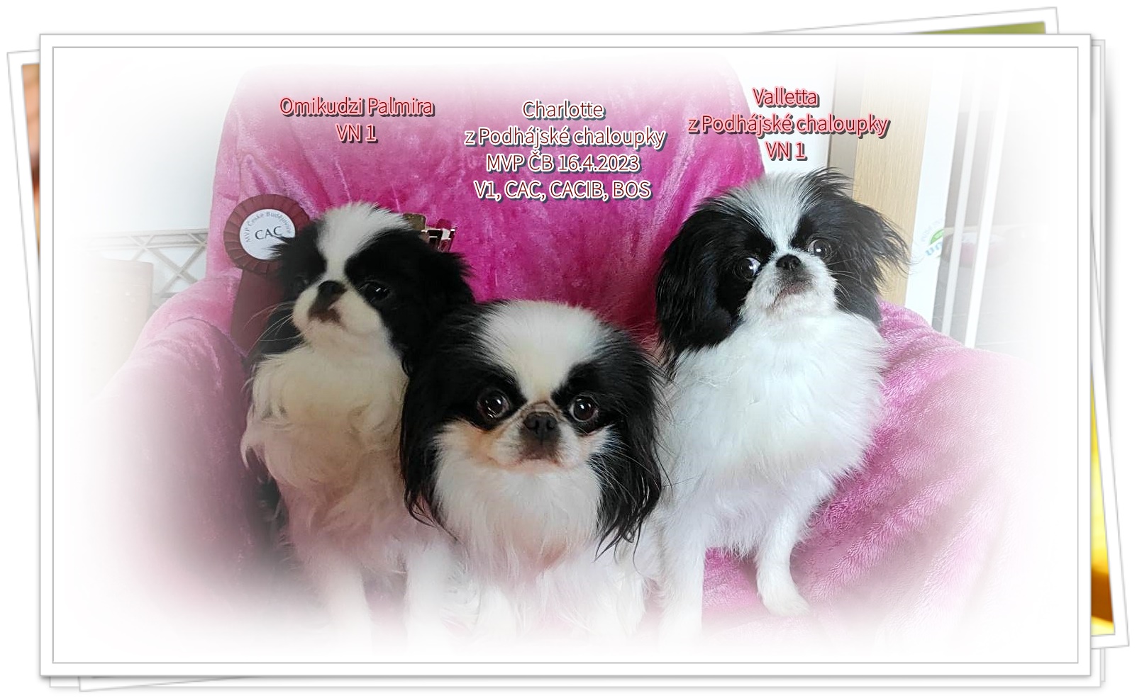 ČB duben 2023 upravený