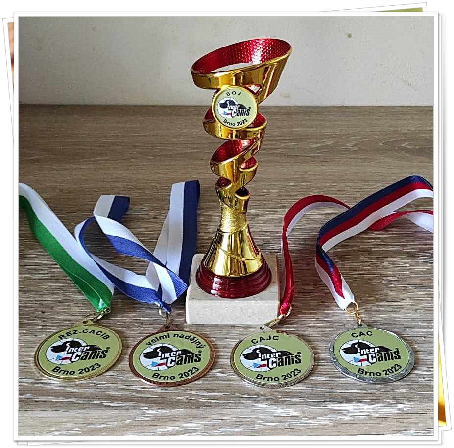 006 MVP Brno cerven 2023