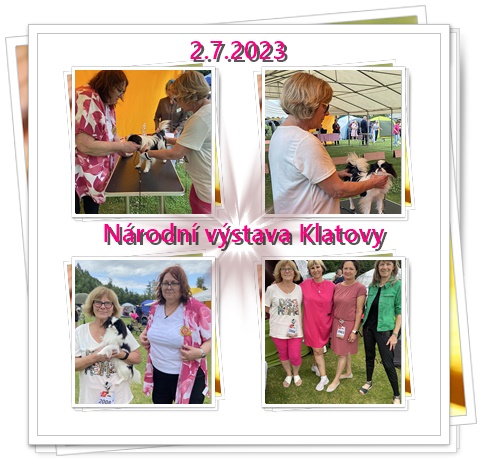 013 NV KT 2023