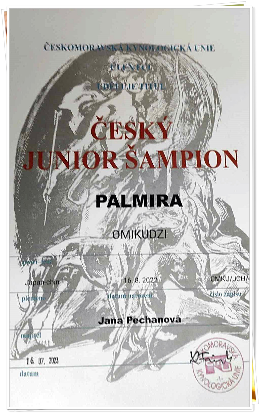 002 Omikudzi Palmira JCH ČR