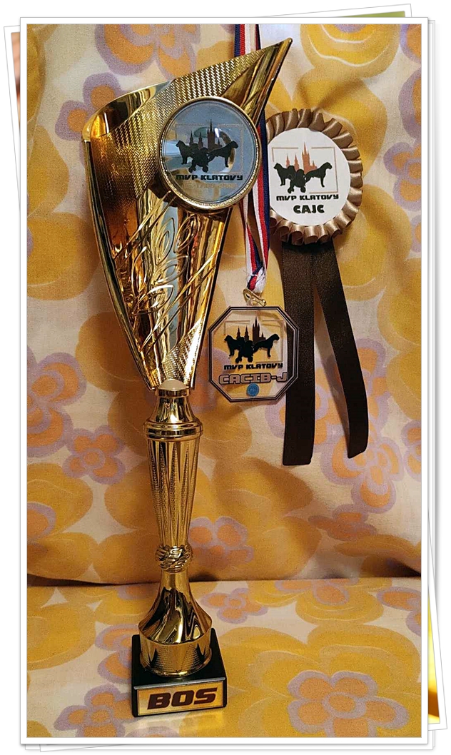 003 MVP KT Valletta CAJC, J.CACIB, BOS