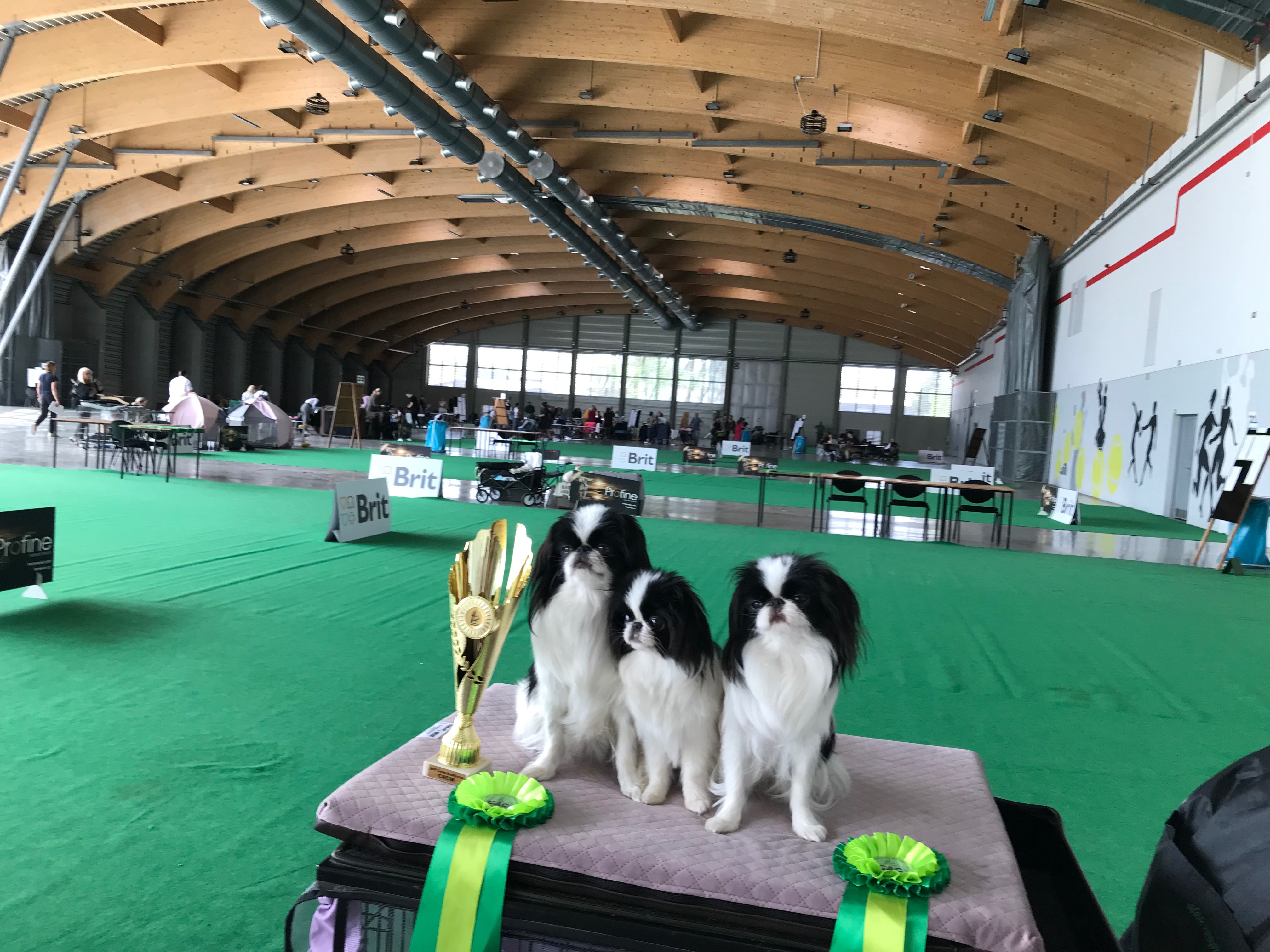 31af3ab7-cdae-45e6-8601-1d130df1fbb3