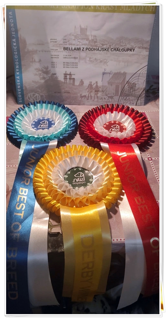 03-Betynka - trofeje