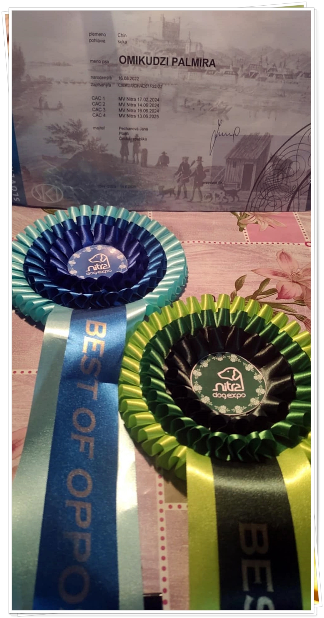 04-Mirinka - trofeje